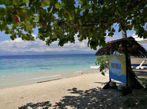 Ravenala Beach Bungalows in Moalboal