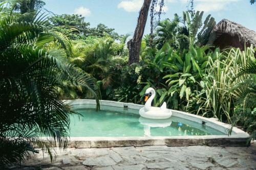 Bungalows India, El Valle, Samana in Santa Bárbara de Samaná